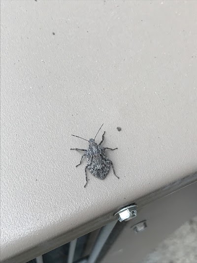A-1 Exterminators