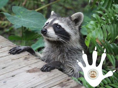 Animal Removal and Prevention Inc.