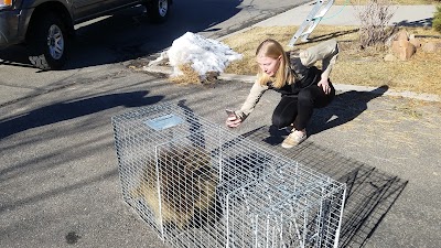 Complete Wildlife Removal