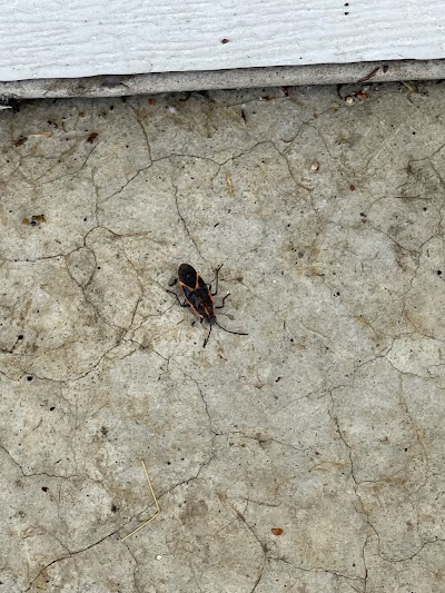 H2 Pest Control