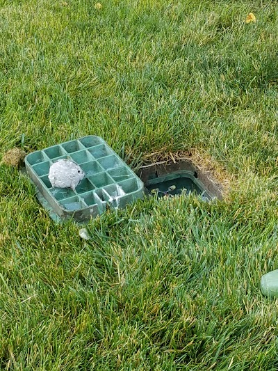 Versatile Pest Control